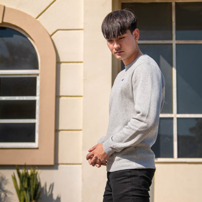 GRAY SWEAT SHIRT - CIRAL