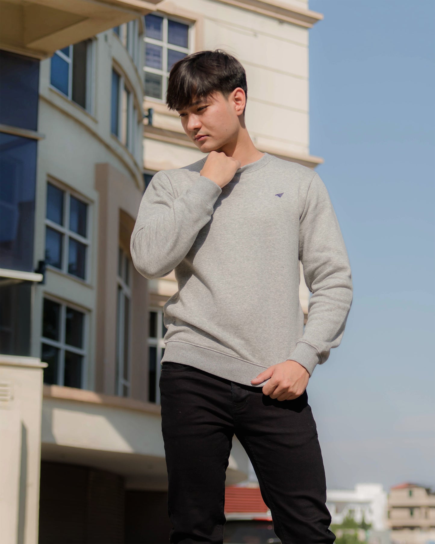 GRAY SWEAT SHIRT - CIRAL